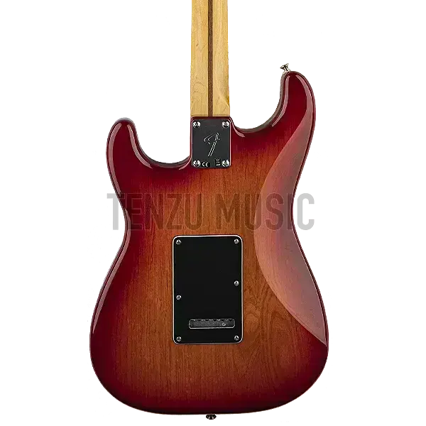 گیتار الکتریک Fender Player Series HSS Stratocaster Plus Top