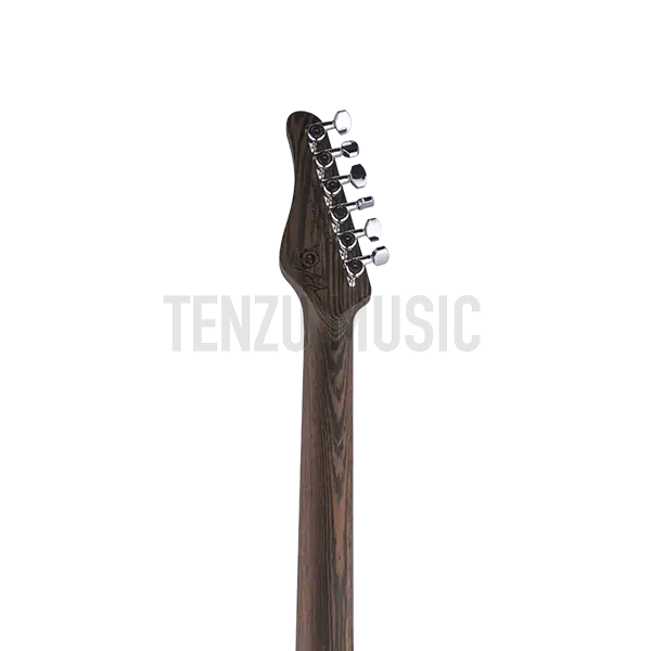 گیتار الکتریک Schecter Nick Johnston USA Signature