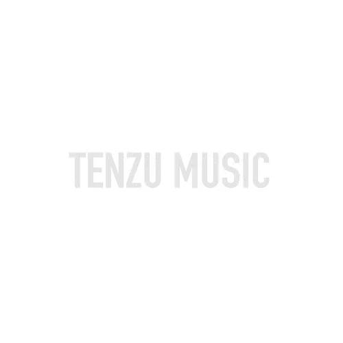 برند Strymon تنزوشاپ