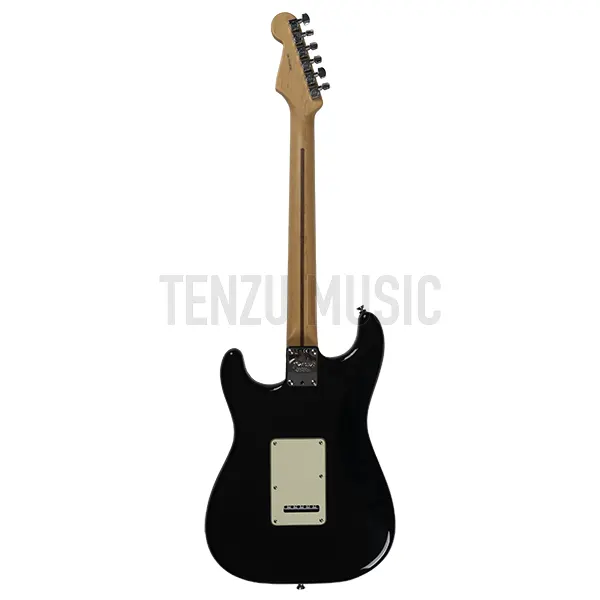 گیتار الکتریک   Fender American Professional Stratocaster