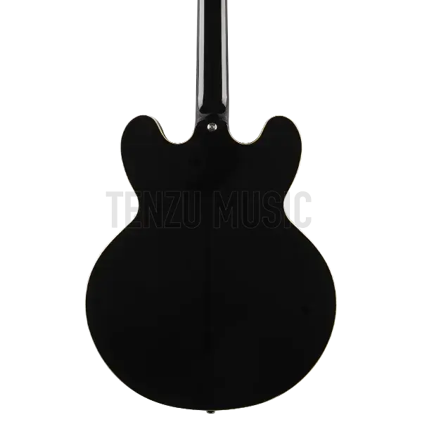 گیتار الکتریک Epiphone Dot ES-335