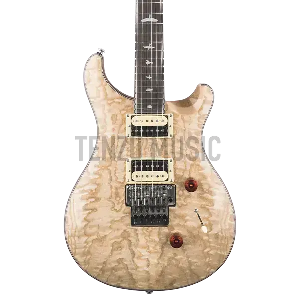 گیتار الکتریک PRS SE Custom 24 Exotic Swamp Ash
