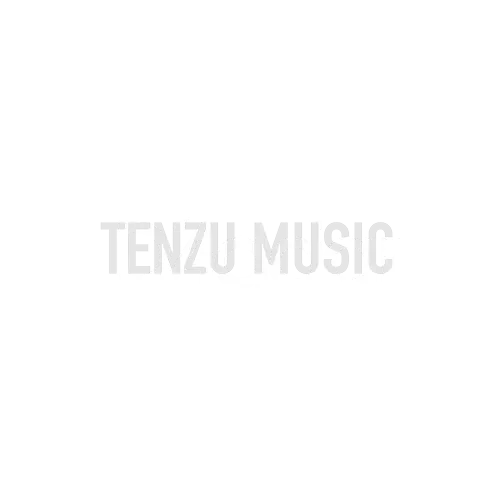 برند D'Addario تنزوشاپ