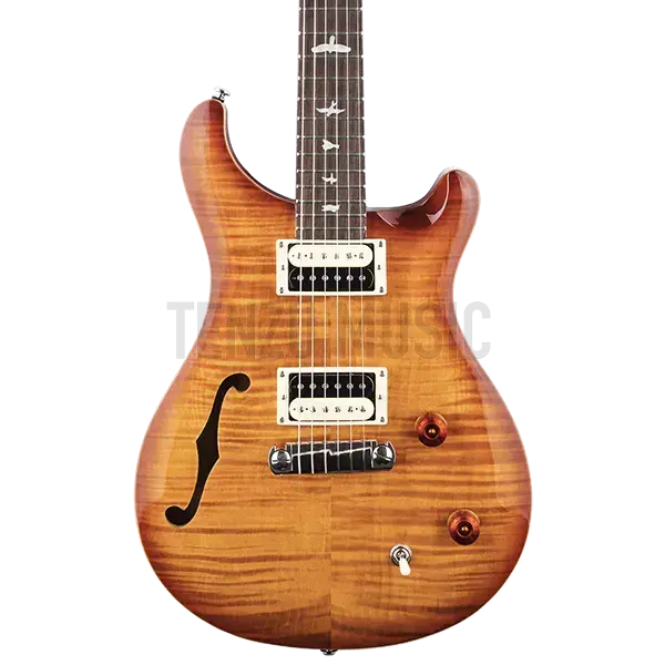 PRS SE Custom 22 (semi hollow)