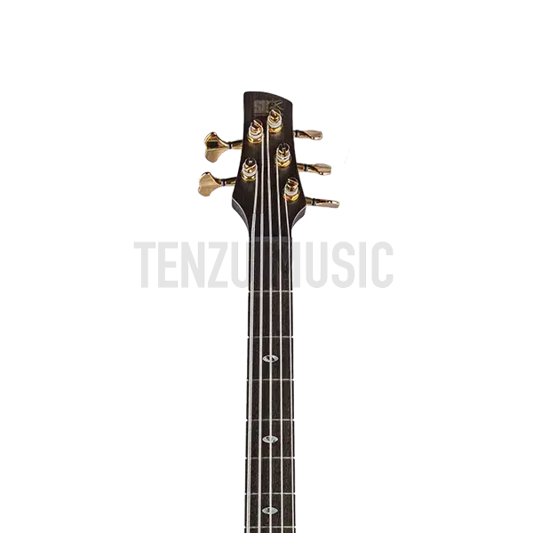 Ibanez SR 5005
