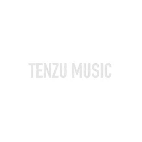 برند Mesa تنزوشاپ