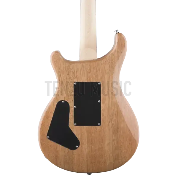 گیتار الکتریک PRS SE Custom 24 Exotic Swamp Ash