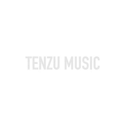 برند Seymour Duncan تنزوشاپ