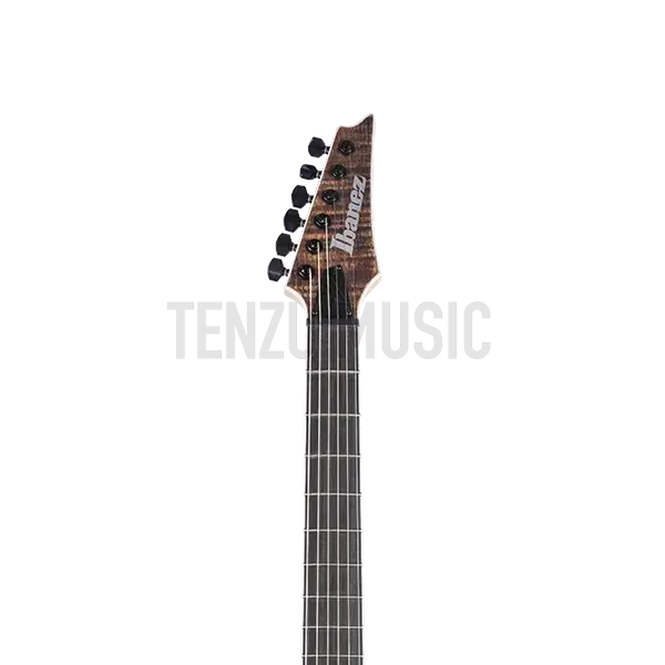 گیتار الکتریک Ibanez RGAIX6U