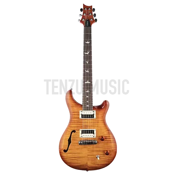 گیتار الکتریک PRS SE Custom 22 (Semi Hollow)