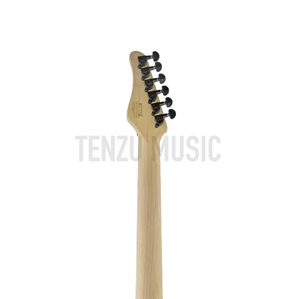 Schecter Sun Valley Super Shredder FR Sea Foam Green