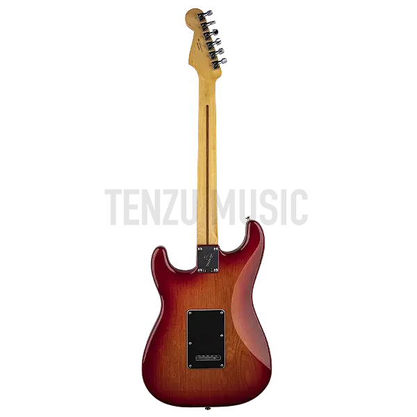 گیتار الکتریک Fender Player Series HSS Stratocaster Plus Top