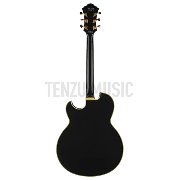 گیتار الکتریک Ibanez PM 100 (Pat Metheny)