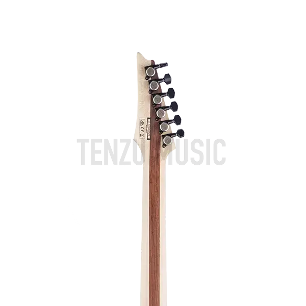 گیتار الکتریک Ibanez RGAIX6U