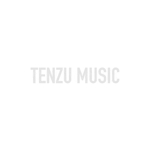 برند Beyerdynamic تنزوشاپ