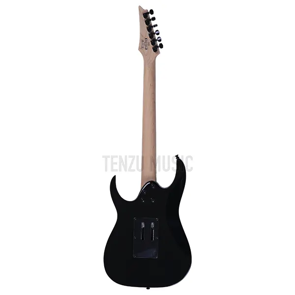 گیتار الکتریک  Ibanez RG250 BK