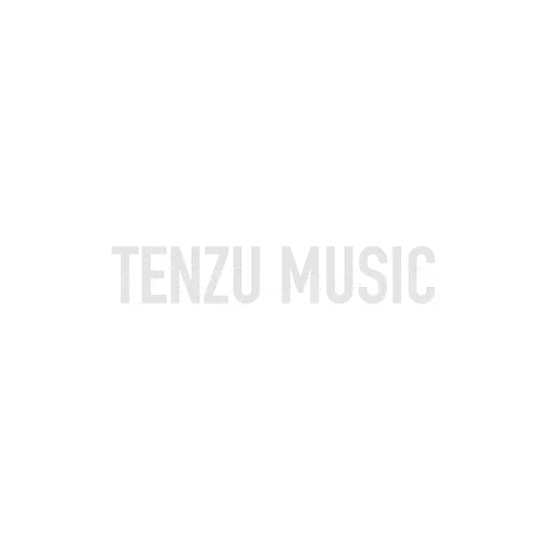 برند Fender تنزوشاپ