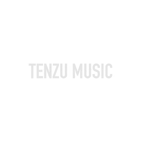 برند SE-Electronics تنزوشاپ