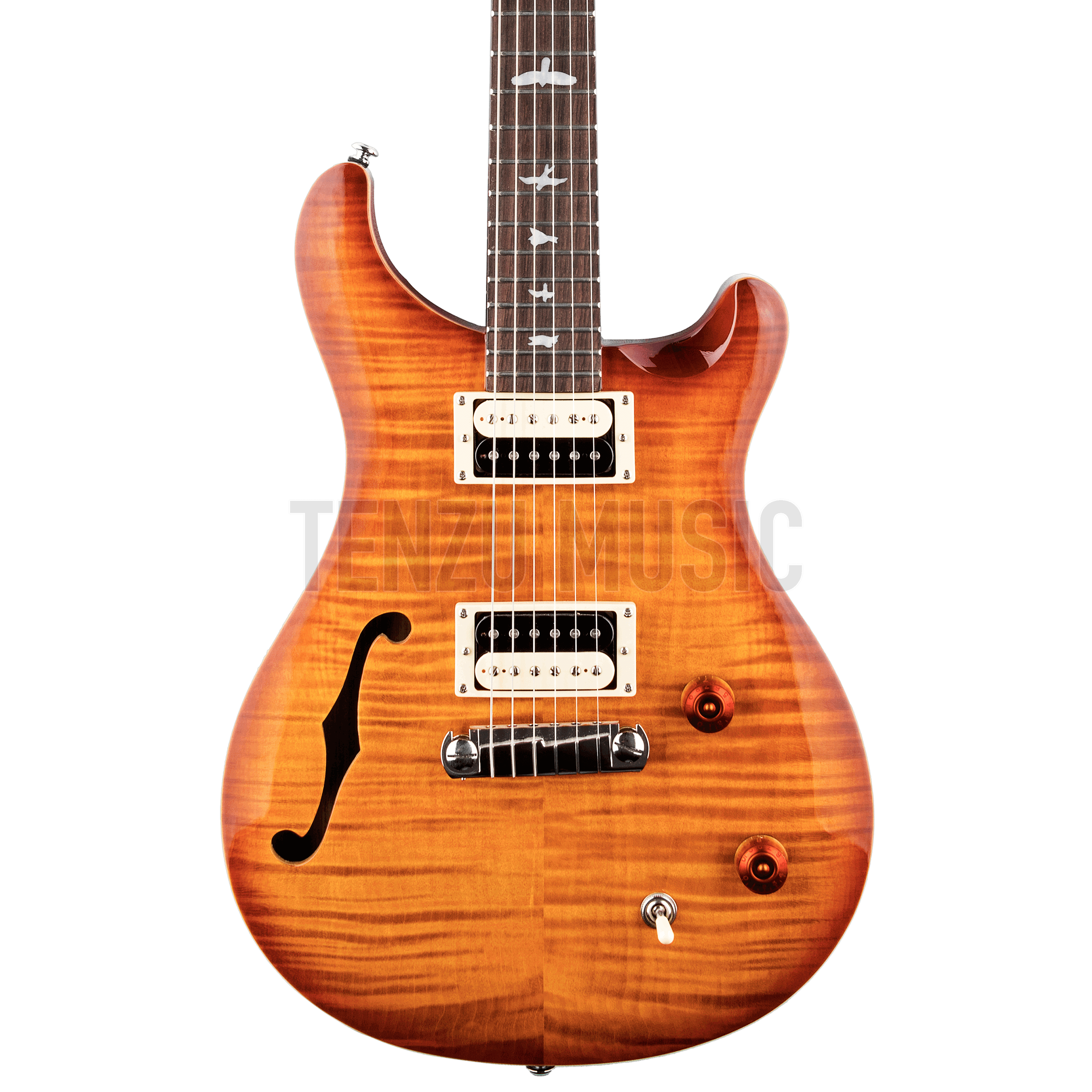 گیتار الکتریک PRS SE Custom 22 (Semi Hollow)