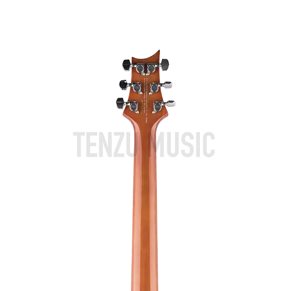 گیتار الکتریک PRS SE Custom 22 (Semi Hollow)