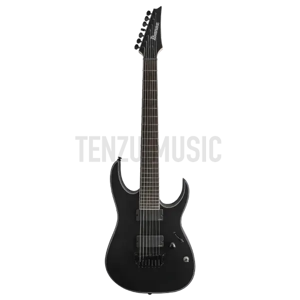 گیتار الکتریک Ibanez RGIR 37 BFE
