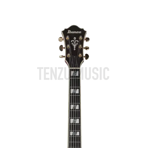 Ibanez AF 155