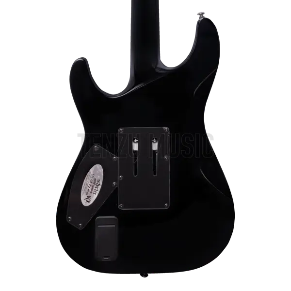 گیتار الکتریک Schecter Hellraiser C-1 FR