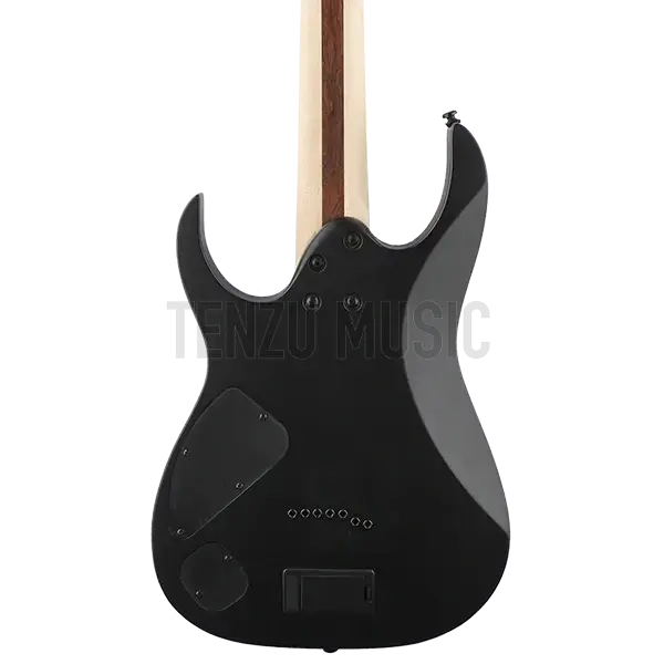 گیتار الکتریک Ibanez RGIR 37 BFE