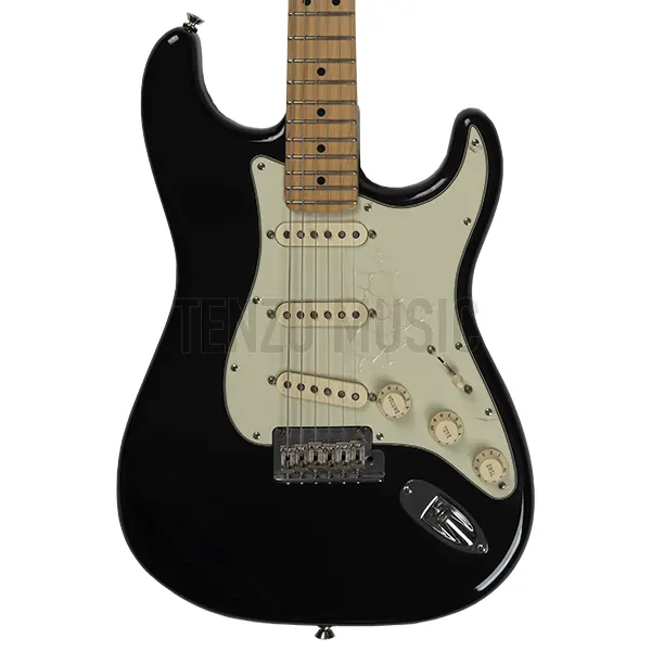 گیتار الکتریک   Fender American Professional Stratocaster