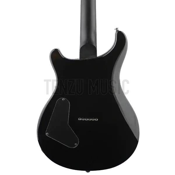 گیتار الکتریک SE Custom 24 Mark Holcomb