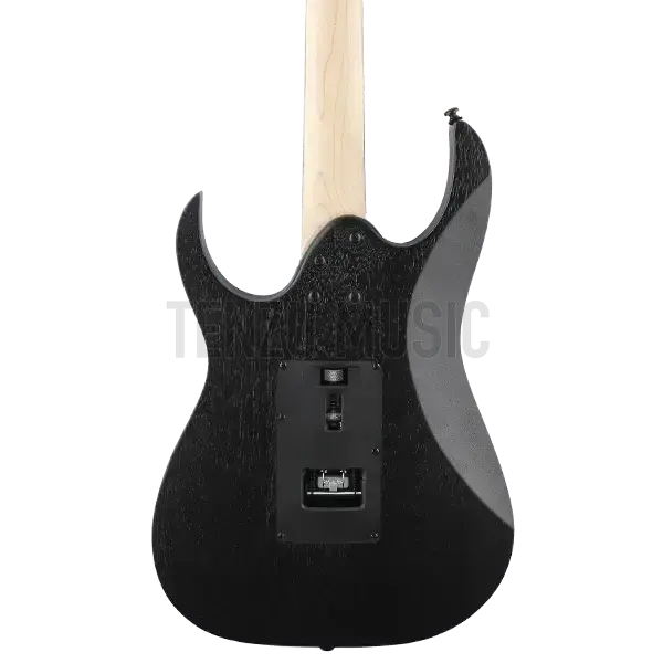 گیتار الکتریک Ibanez RG 350 ZB