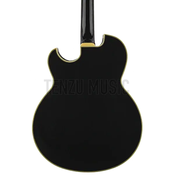 گیتار الکتریک Ibanez PM 100 (Pat Metheny)