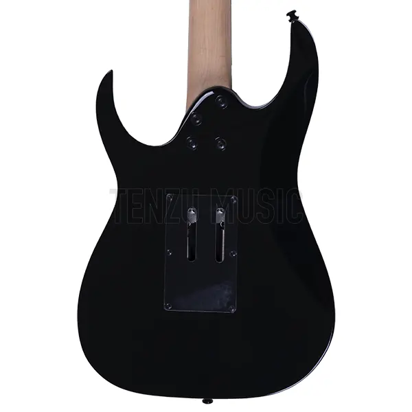 گیتار الکتریک  Ibanez RG250 BK