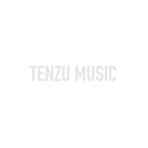 برند EVH تنزوشاپ