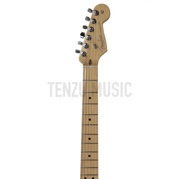 گیتار الکتریک   Fender American Professional Stratocaster