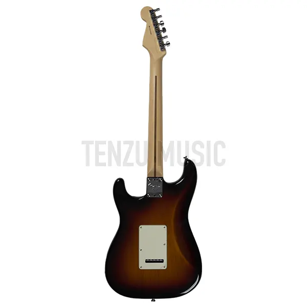 گیتار الکتریک   Fender American Professional Stratocaster