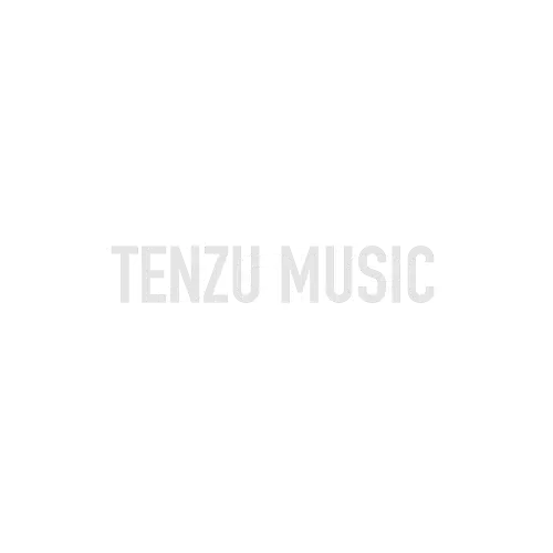 برند Digitech تنزوشاپ
