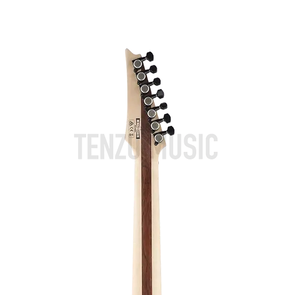 گیتار الکتریک Ibanez RGIR 37 BFE