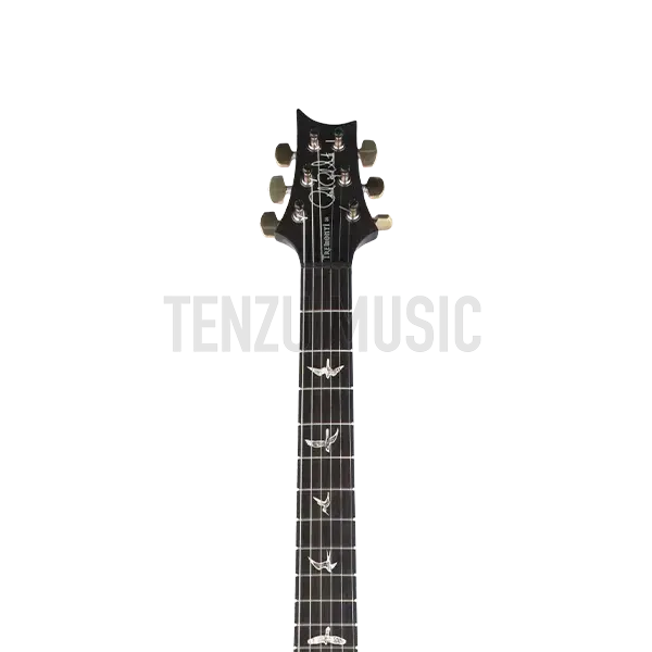 گیتار الکتریک PRS Mark Tremonti 10-Top