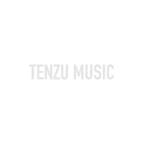 TC Electronic