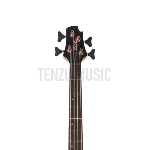 Cort Action DLX