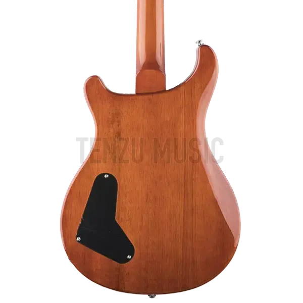 گیتار الکتریک PRS SE Custom 22 (Semi Hollow)