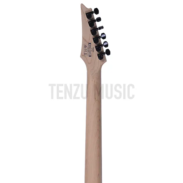 گیتار الکتریک  Ibanez RG250 BK