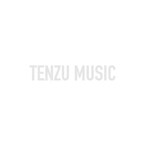 برند Harley Benton تنزوشاپ