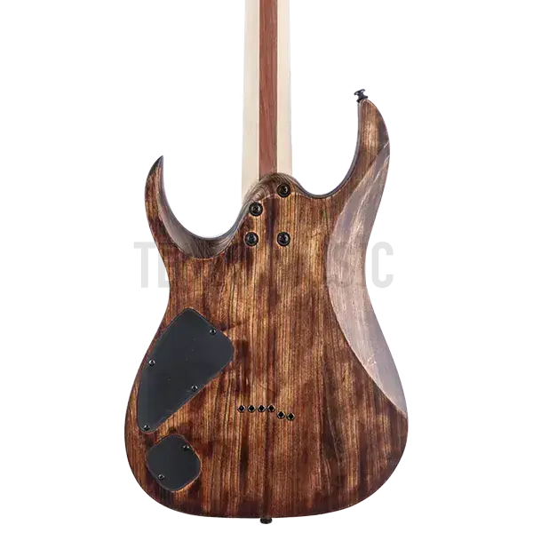 گیتار الکتریک Ibanez RGAIX6U