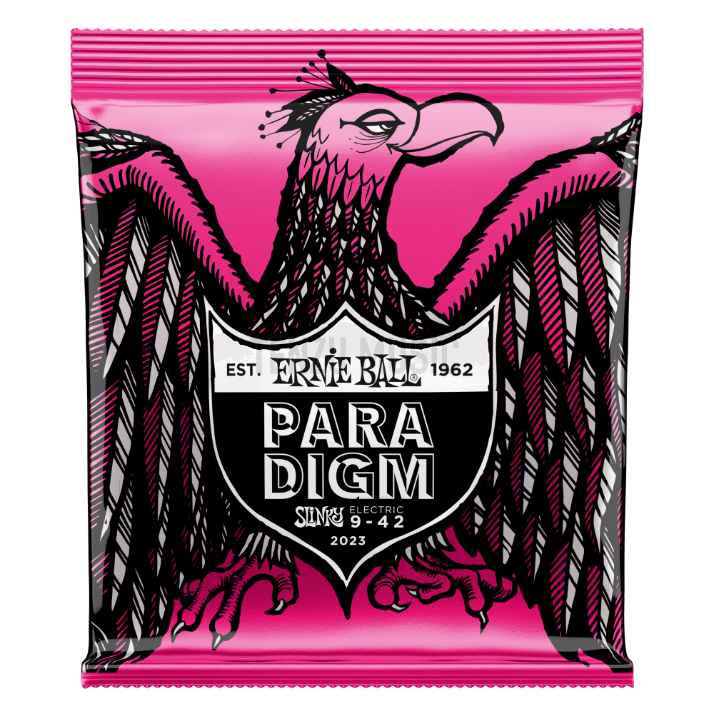 Ernie Ball  Slinky Paradigm 9 42