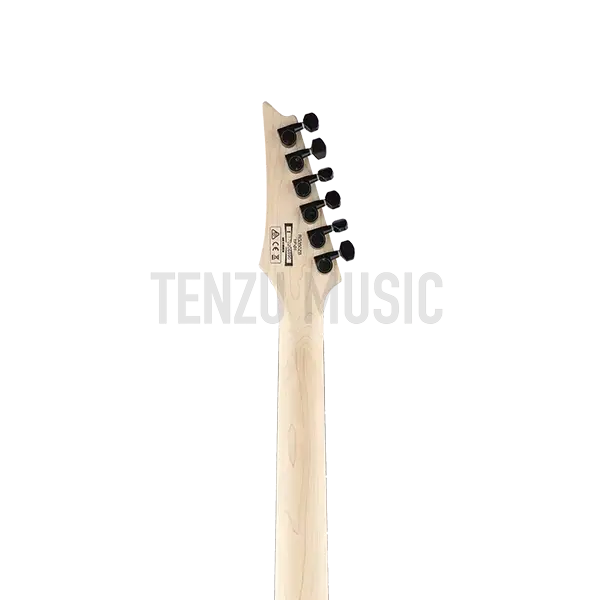 گیتار الکتریک Ibanez RG 350 ZB
