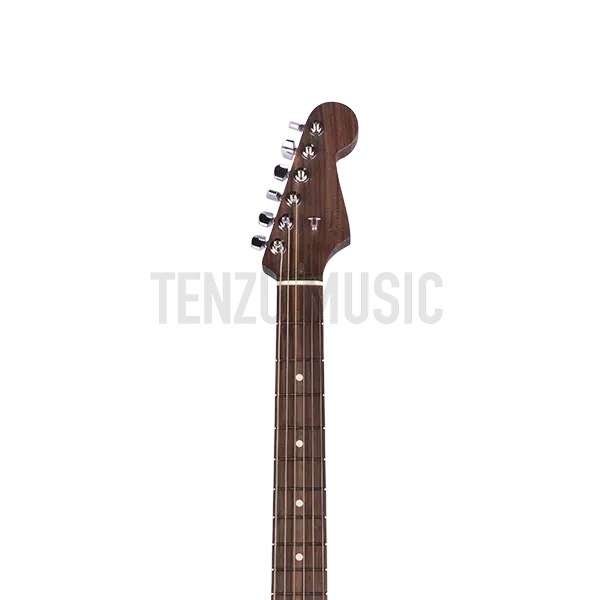 گیتار الکتریک Fender American Professional Stratocaster Limited Edition