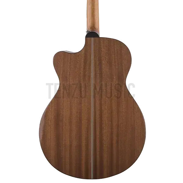 PRS Angelus SE A20E