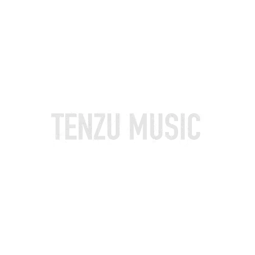 برند Ernie Ball تنزوشاپ